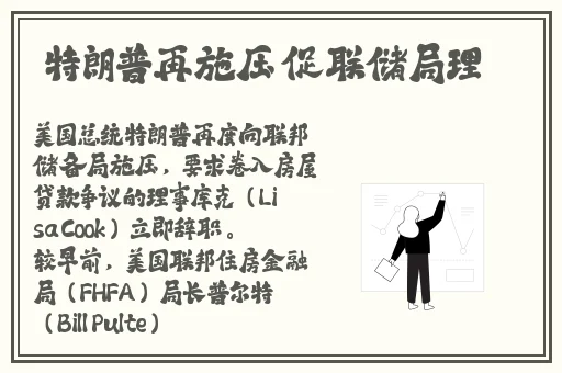 小猪视频 在线观看
